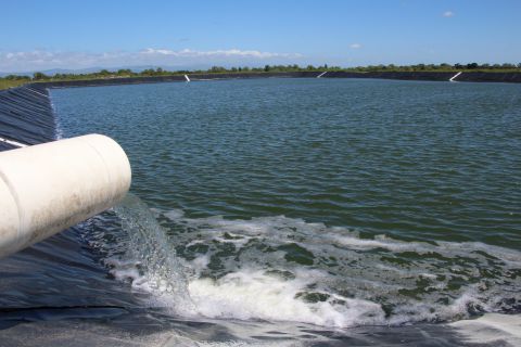 Manawatū Wastewater Treatment Plant Upgrade and Centralisation