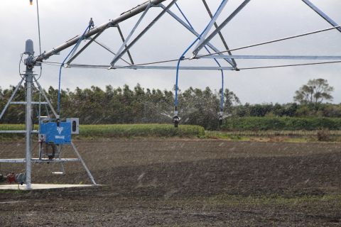 Wastewater Treatment Plant Irrigation