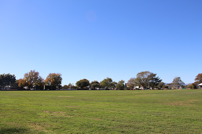 Kowhai Park