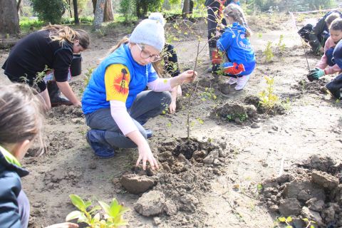 Awahuri Forest – Kitchener Park selected for Rā Rākau Tītapu